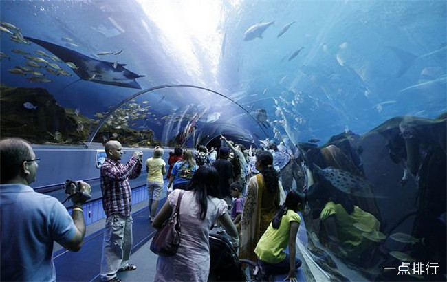 盤點(diǎn)世界最大的水族館 亞特蘭大喬治亞水族館排