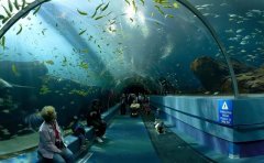 世界上最大的水族館排名，中國有兩處上榜