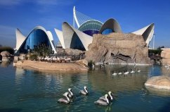 全球六個最大的水族館，真是夢幻的“水世界”