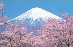 日本最美的自然風(fēng)光：富士山奪冠，你去過(guò)幾個(gè)？