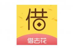 2022小額度1000元秒下款app：口袋花上榜，借去花居首