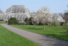 世界十大著名植物園排行榜，柏林植物園位居第九