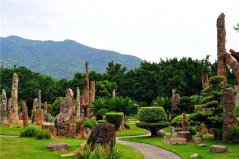 深圳十大城市公園：園博園入榜，仙湖植物園居榜首