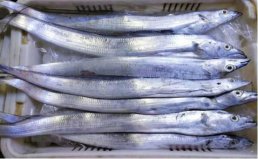 高嘌呤的食物排行榜：帶魚、豬肝位列前兩名