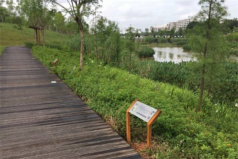 廣州十大公園排行榜，大觀濕地公園位列第一