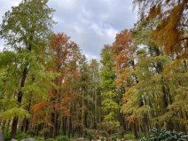 上海值得去的六大公園，上海好玩的公園排行榜