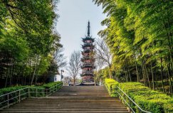 上海著名的六大森林公園，佘山國家森林公園排第一